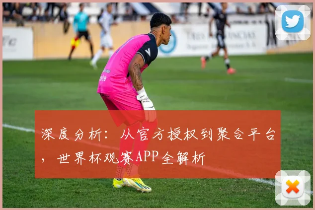 深度分析：从官方授权到聚合平台，世界杯观赛APP全解析