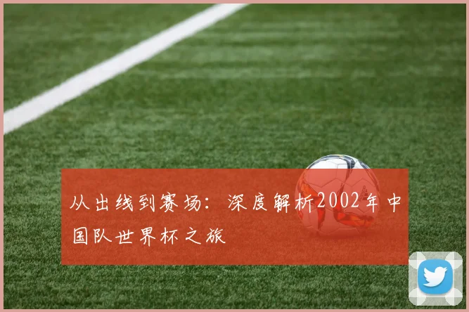 从出线到赛场：深度解析2002年中国队世界杯之旅