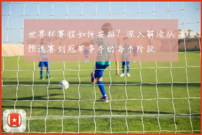 世界杯赛程如何安排？深入解读从预选赛到冠军争夺的每个阶段