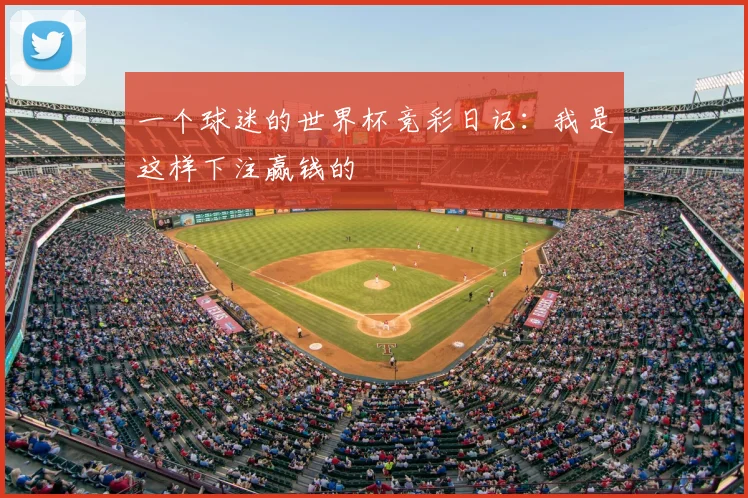 一个球迷的世界杯竞彩日记:我是这样下注赢钱的