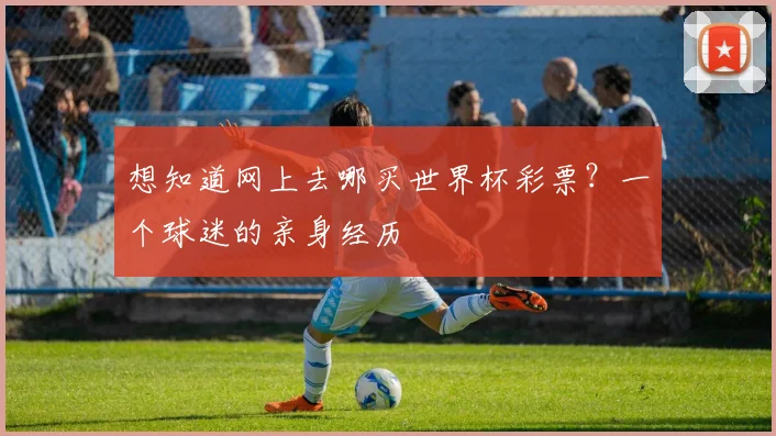 想知道网上去哪买世界杯彩票？一个球迷的亲身经历