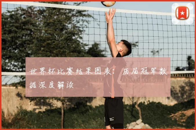 世界杯比赛结果图表：历届冠军数据深度解读